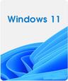 Microsoft Windows 11 Pro